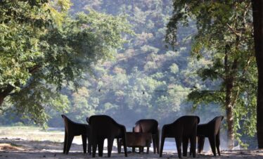 Ganga-river-view-camp