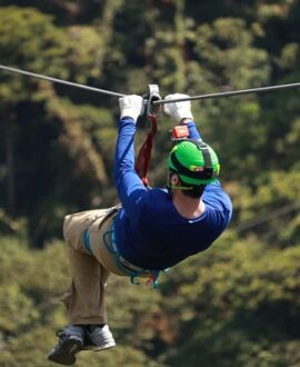 Zipline